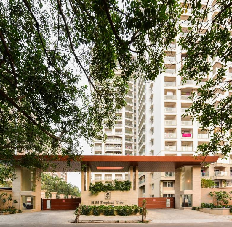 tropical tree Others