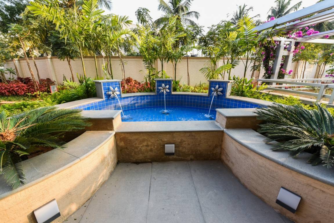 tropical tree Others