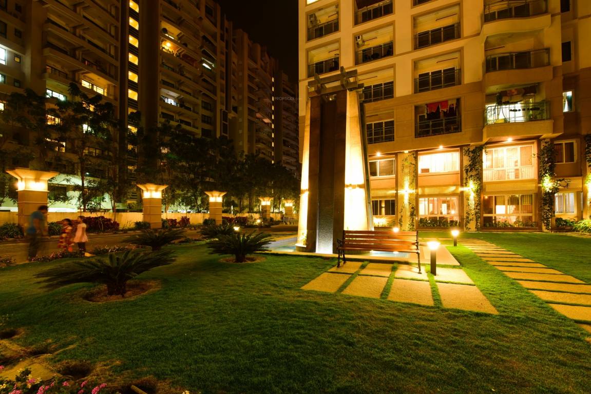 tropical tree Others