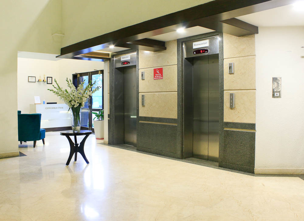 tropical tree Others