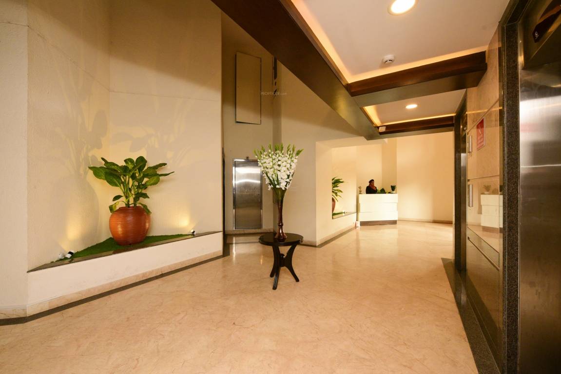 tropical tree Others