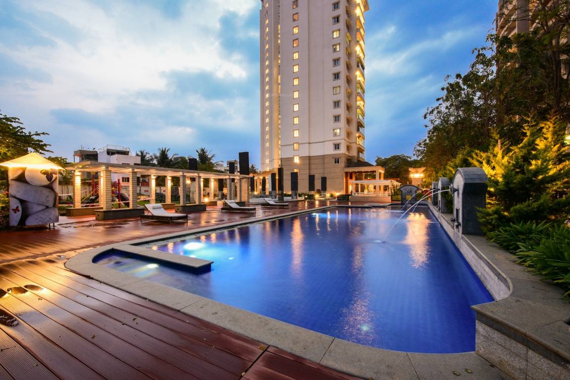 tropical tree Swimming Pool