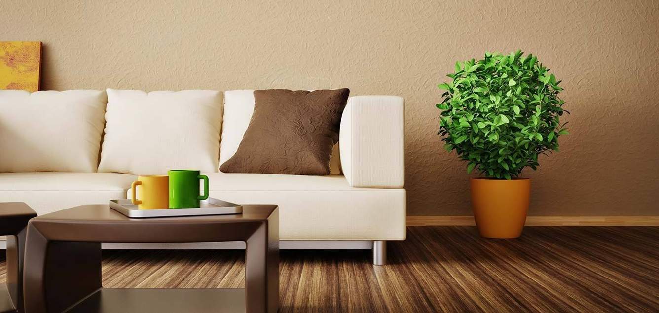  reserve Images for Main Other of Vaswani Reserve