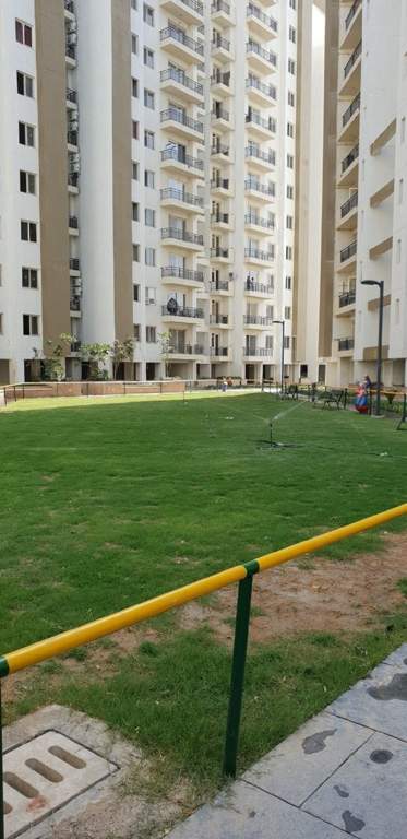  winter hills Landscape Garden and Tree Planting