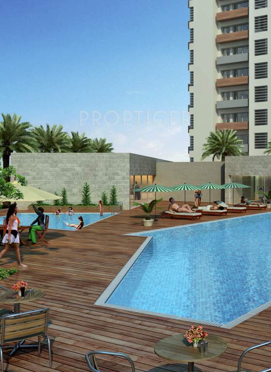  winter hills Swimming Pool