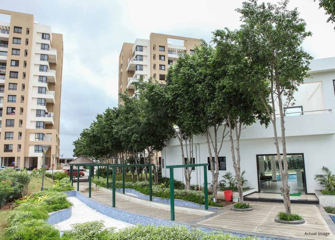 umang premiere Others