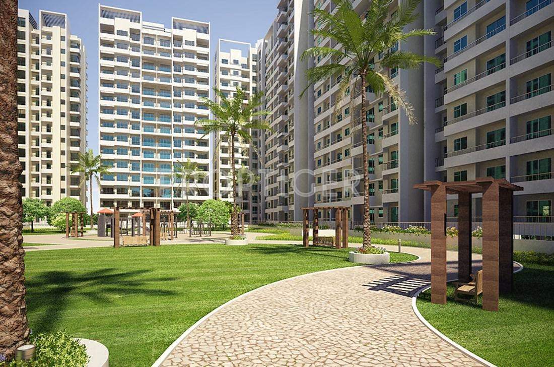 city Images for Elevation of Raunak City