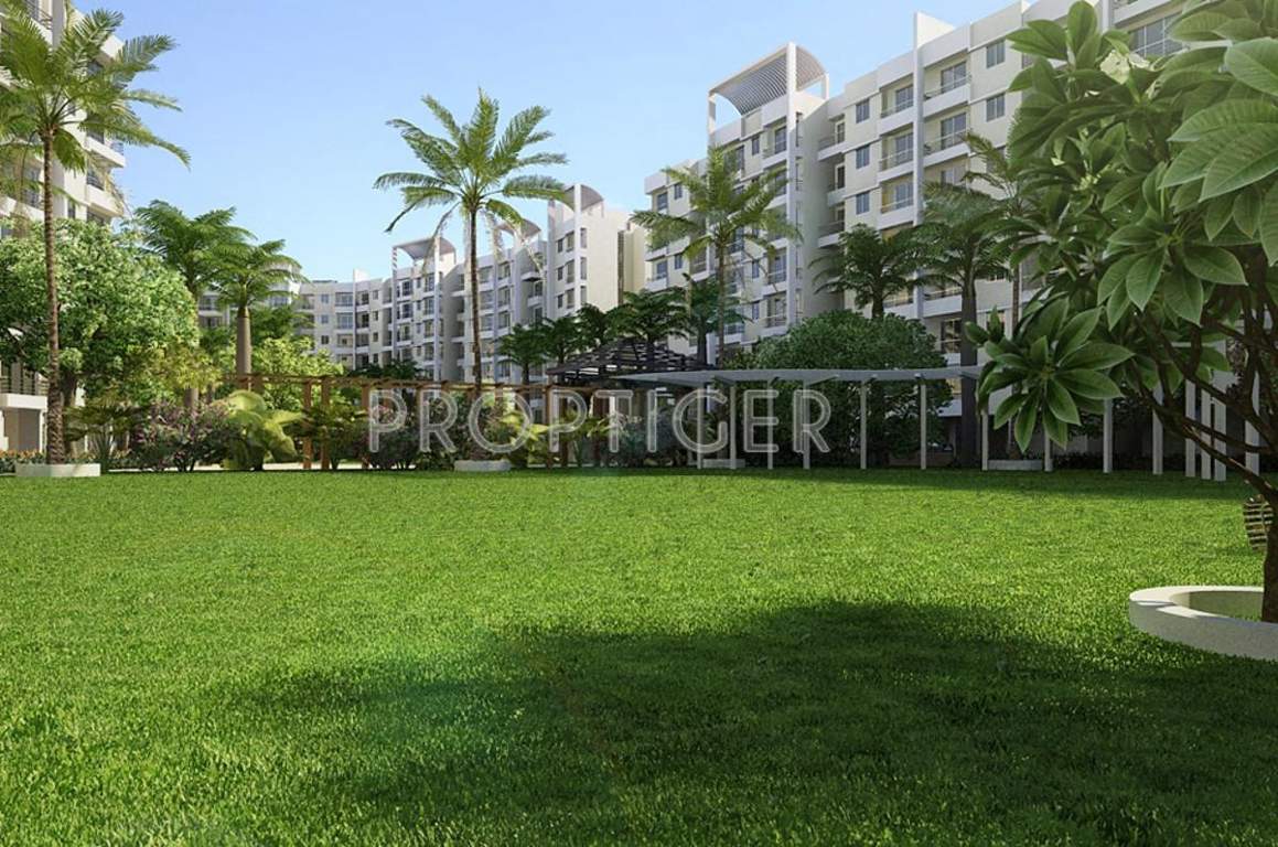 city Images for Elevation of Raunak City