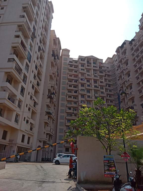  aldea espanola Elevation