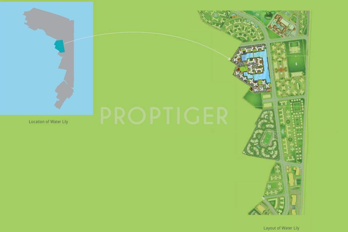 water lily Images for Master Plan of Adani Water Lily