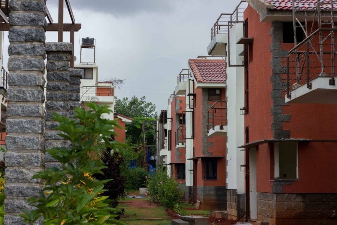 Images for Elevation of ZED Earth