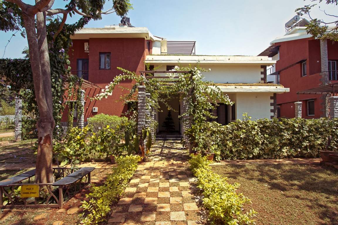 earth Images for Elevation of ZED Earth