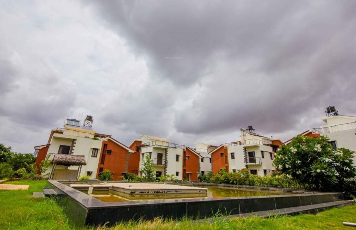 earth Images for Elevation of ZED Earth