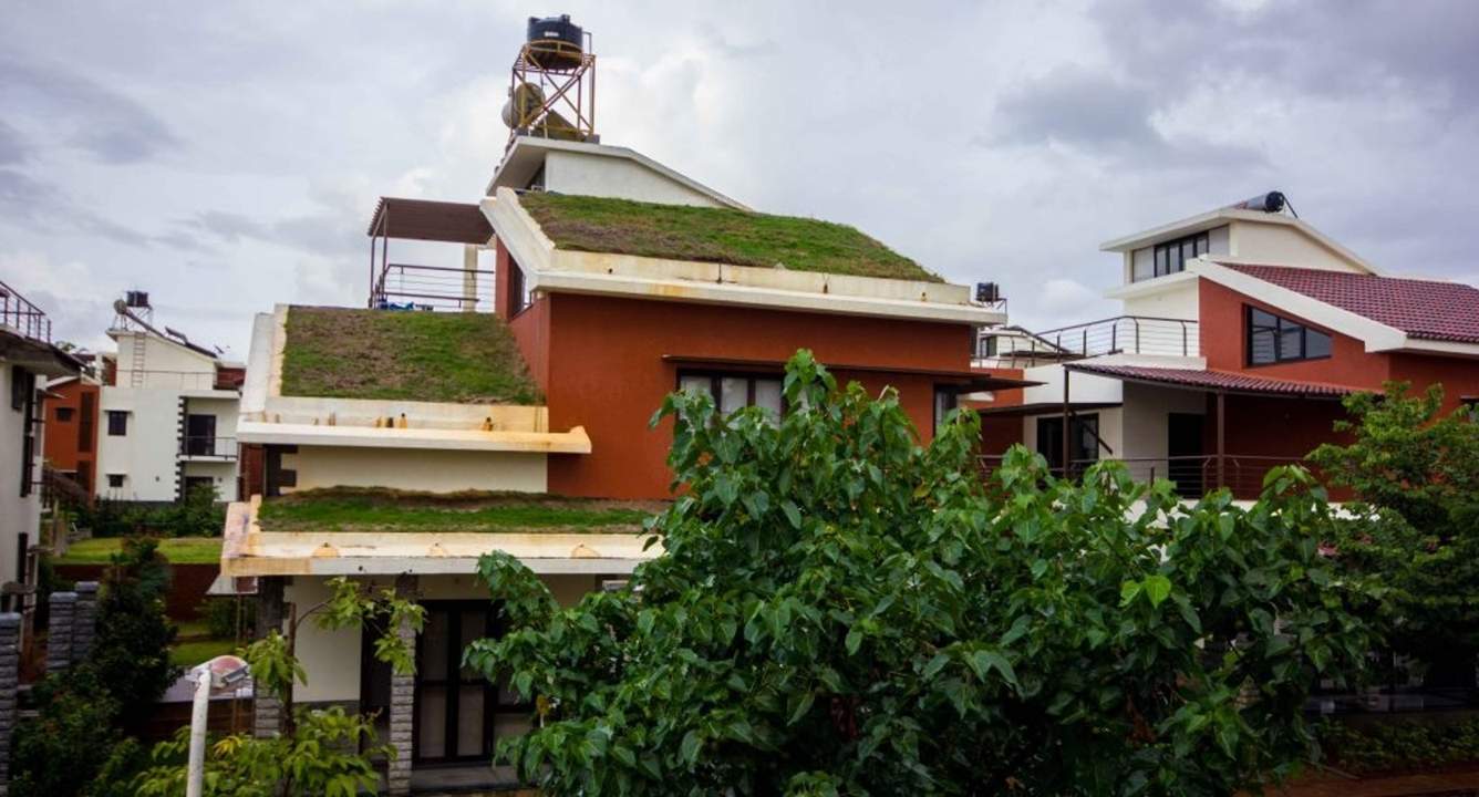 earth Images for Elevation of ZED Earth