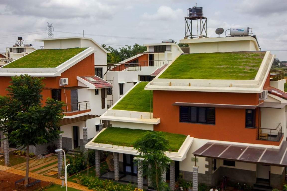 earth Images for Elevation of ZED Earth