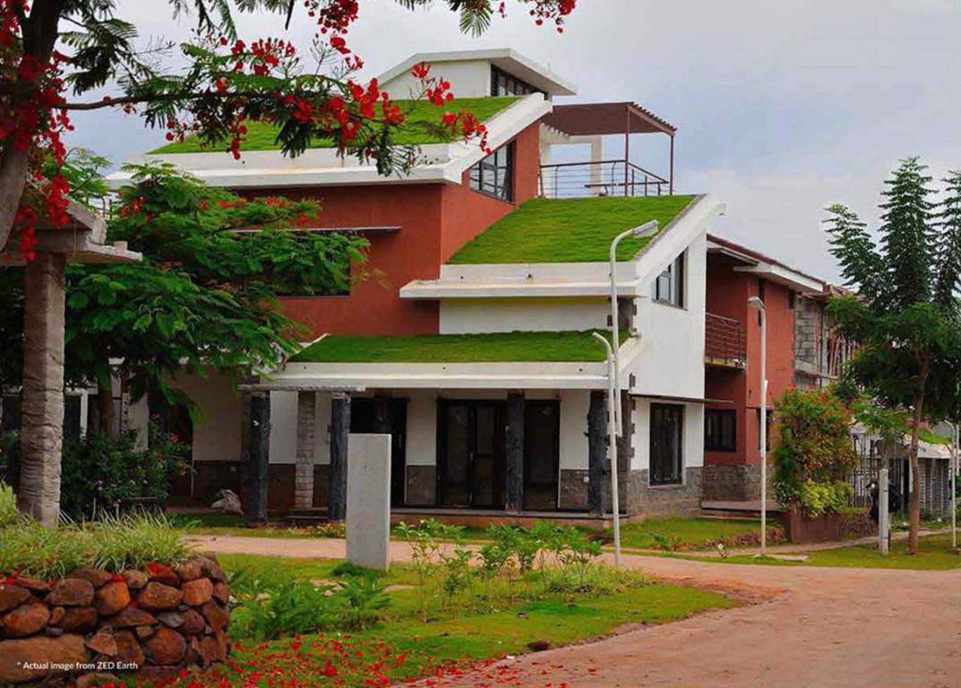 earth Images for Elevation of ZED Earth