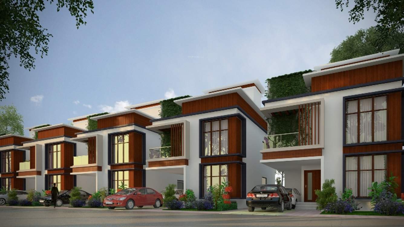 earth Images for Elevation of ZED Earth