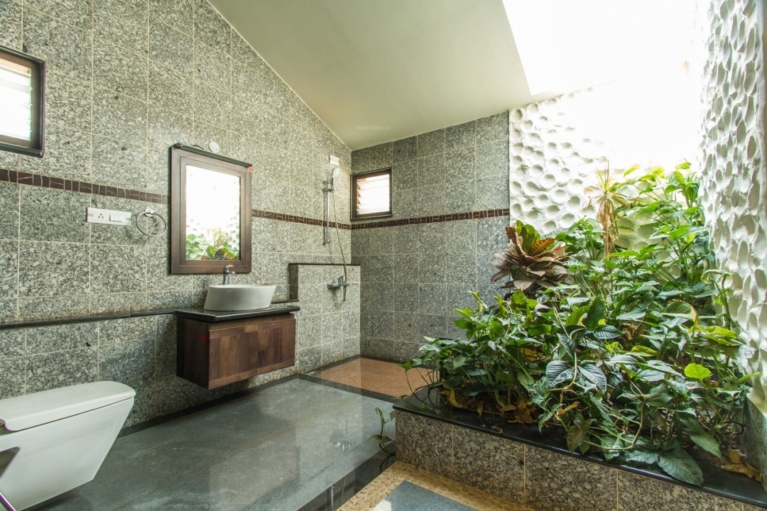 Images for Main Other of ZED Earth