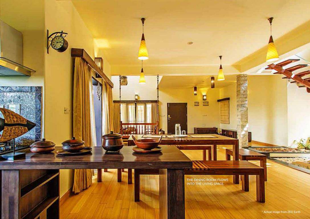 earth Images for Main Other of ZED Earth