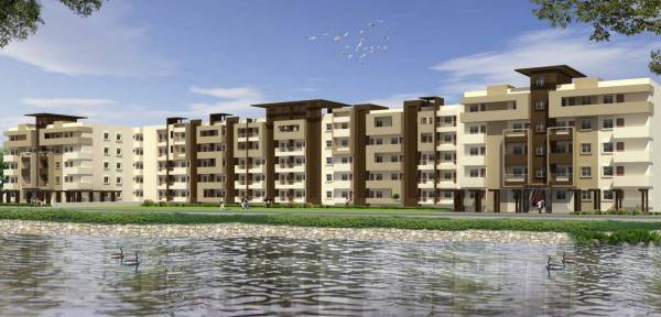  waterfront Images for Elevation of Rainbow Waterfront