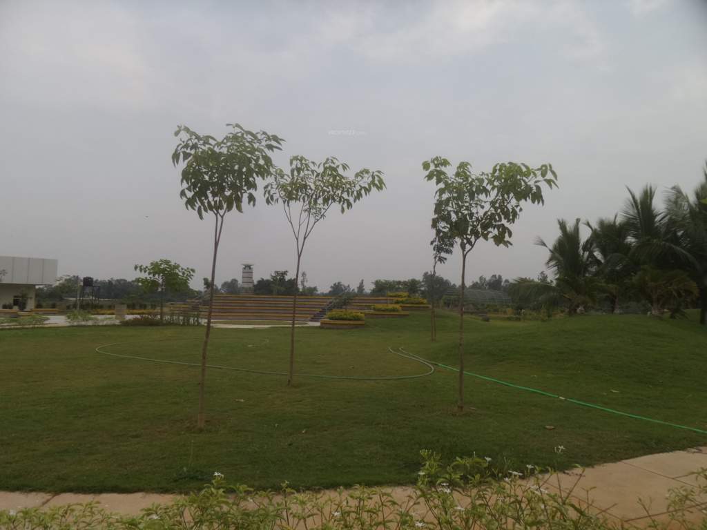villa viviana Landscape Garden and Tree Planting