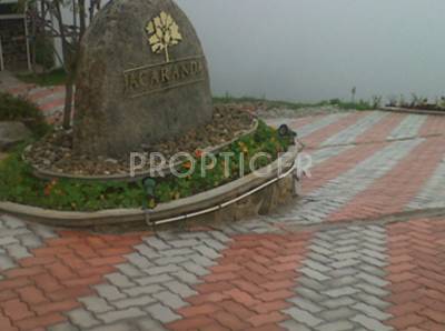 Images for Main Other of Catalyst Jacaranda