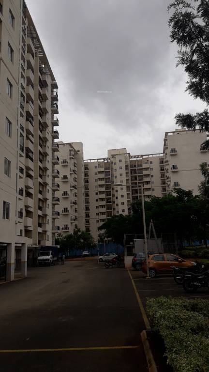  maiden heights at my town Elevation