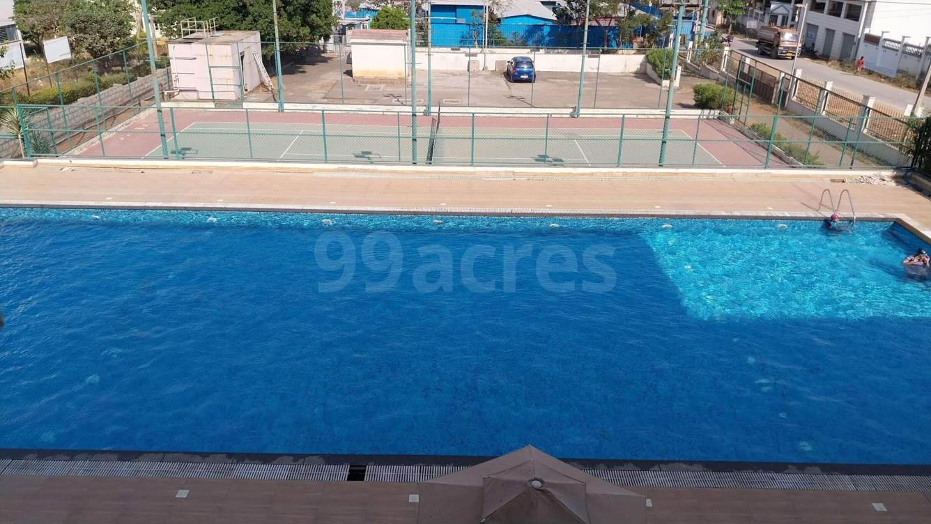  maiden heights at my town Swimming Pool