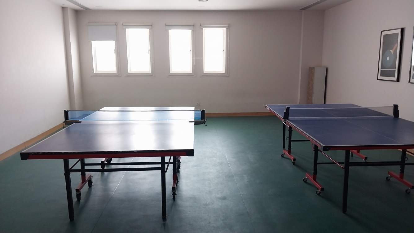 maiden heights at my town Table Tennis