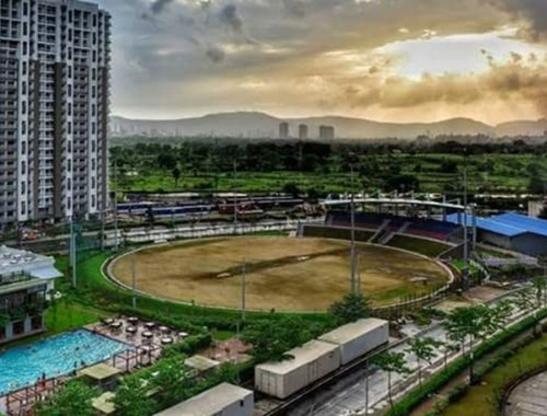  casa-rio-gold Cricket Pitch