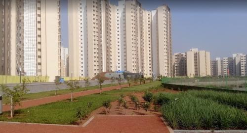  casa-rio-gold Landscape Garden and Tree Planting