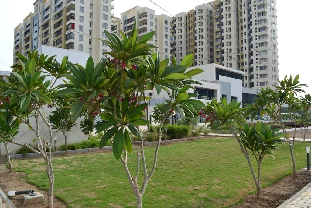  signature city Landscape Garden and Tree Planting