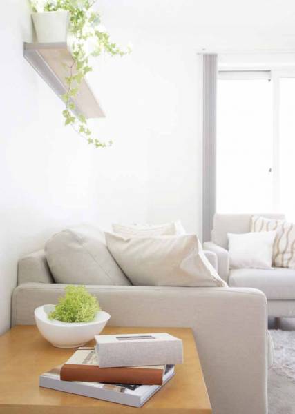 Images for Main Other of Nitesh Cape Cod cape-cod-phase-i Images for Main Other of Nitesh Cape Cod