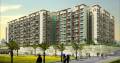 Dheeraj Realty Jade Residences
