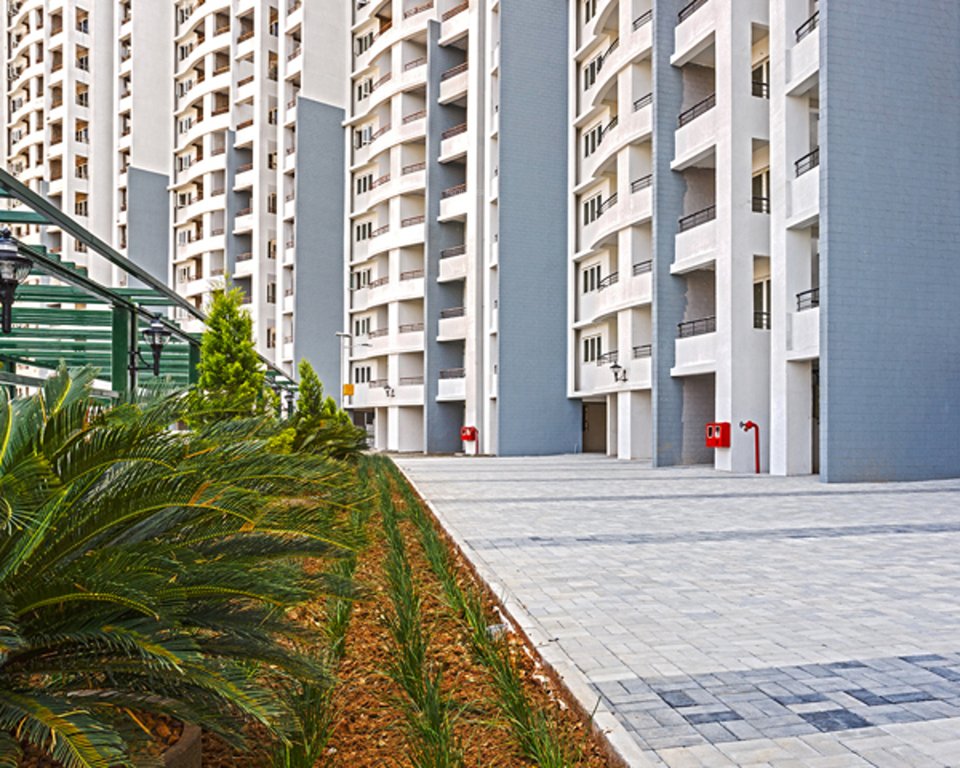 Images for Elevation of Purva Swanlake