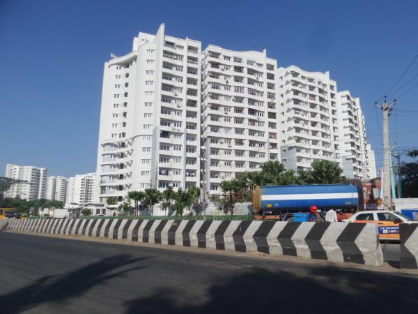  swanlake Images for Project