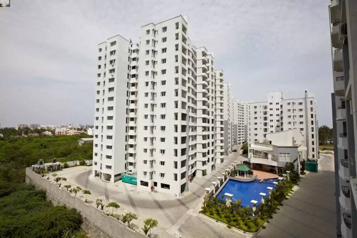  swanlake Images for Project