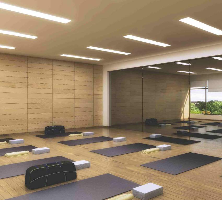  decks Images for Amenities of JP Decks