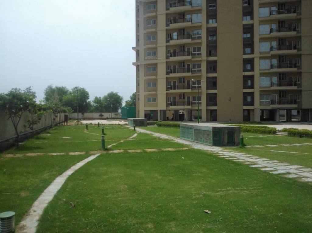  ncr one Landscape Garden and Tree Planting