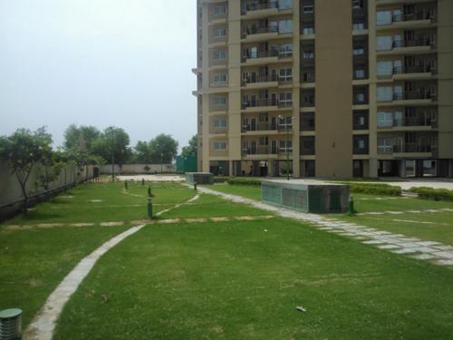 Landscape Garden and Tree Planting ncr-one Landscape Garden and Tree Planting