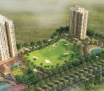 Images for Elevation of G Corp The Icon