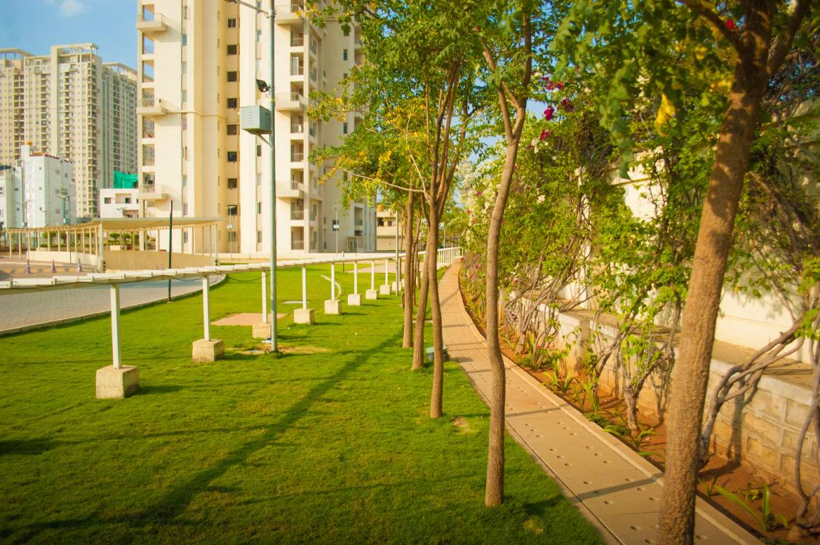 Images for amenities