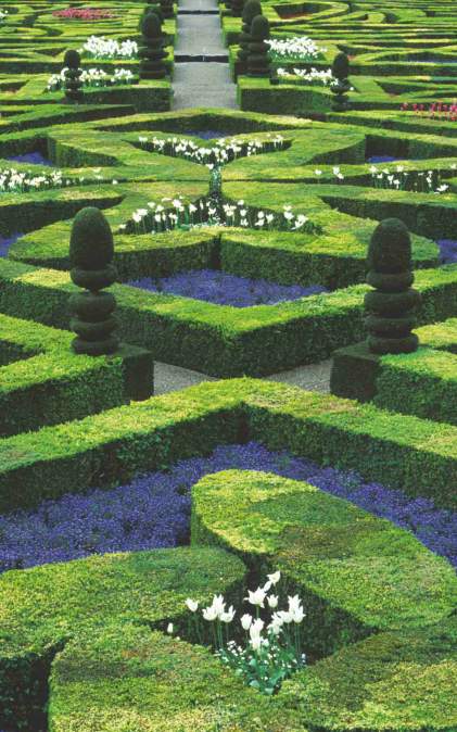  new cuffe parade Manicured Garden