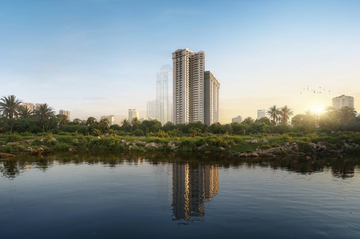 arista luxe Elevation