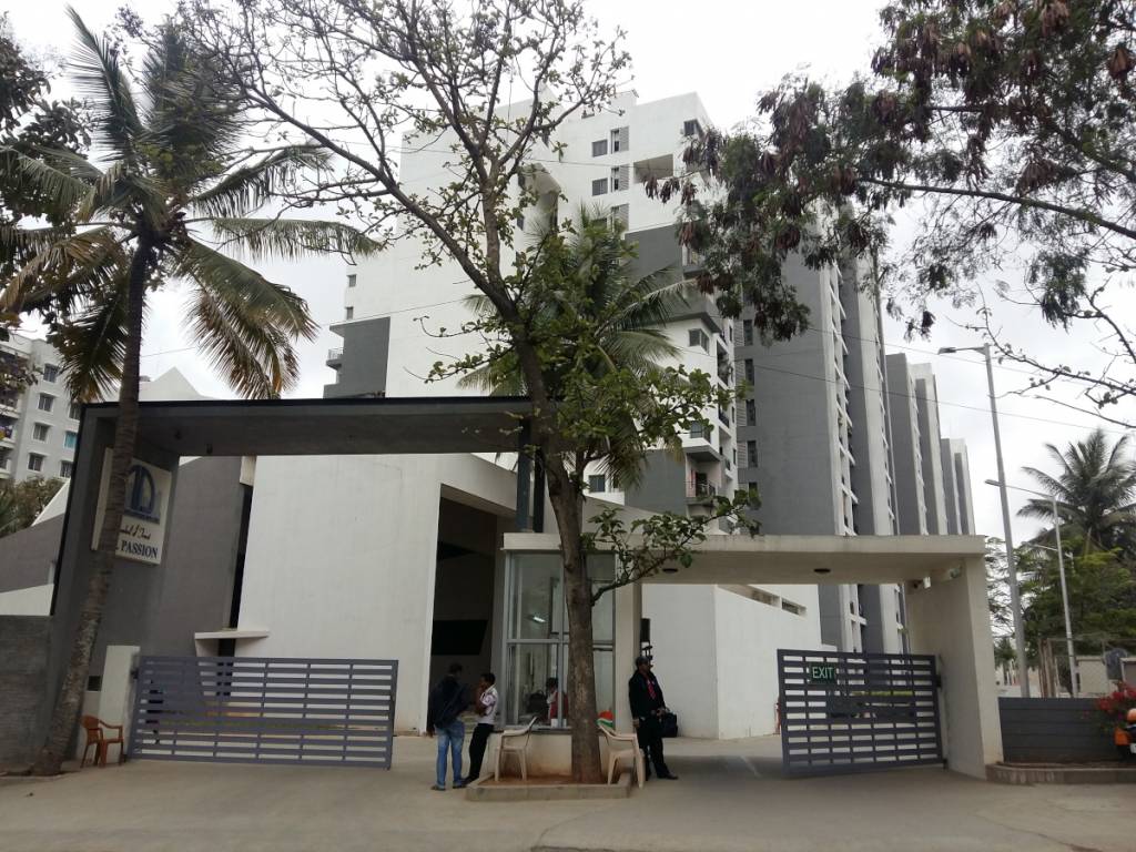  passion plus Elevation