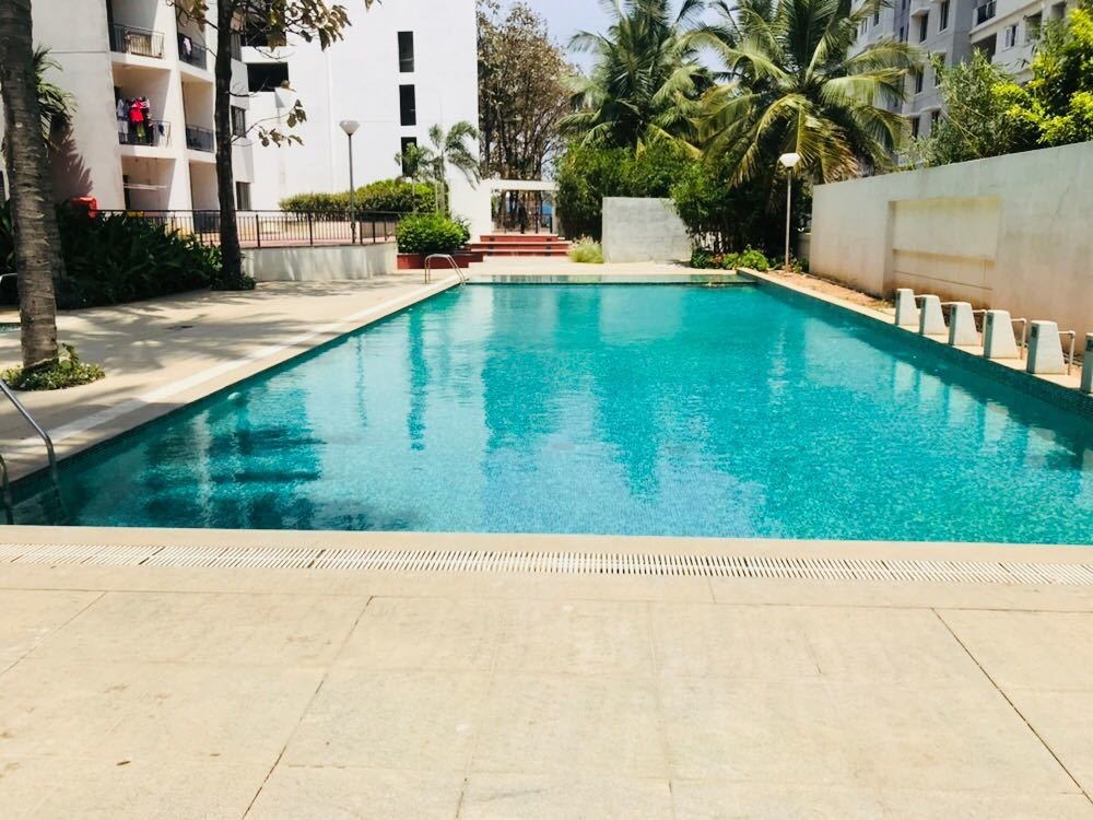  passion plus Swimming Pool