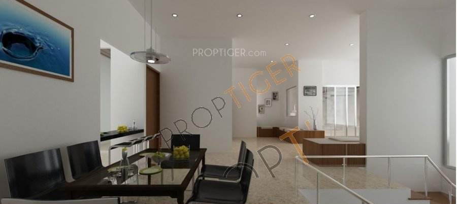  passion plus Images for Main Other of ND Passion Plus