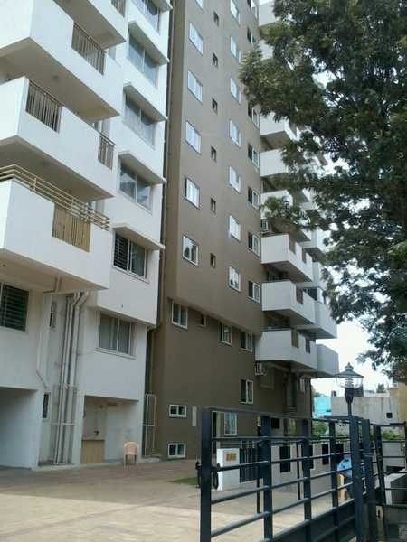 Elevation jardin Elevation