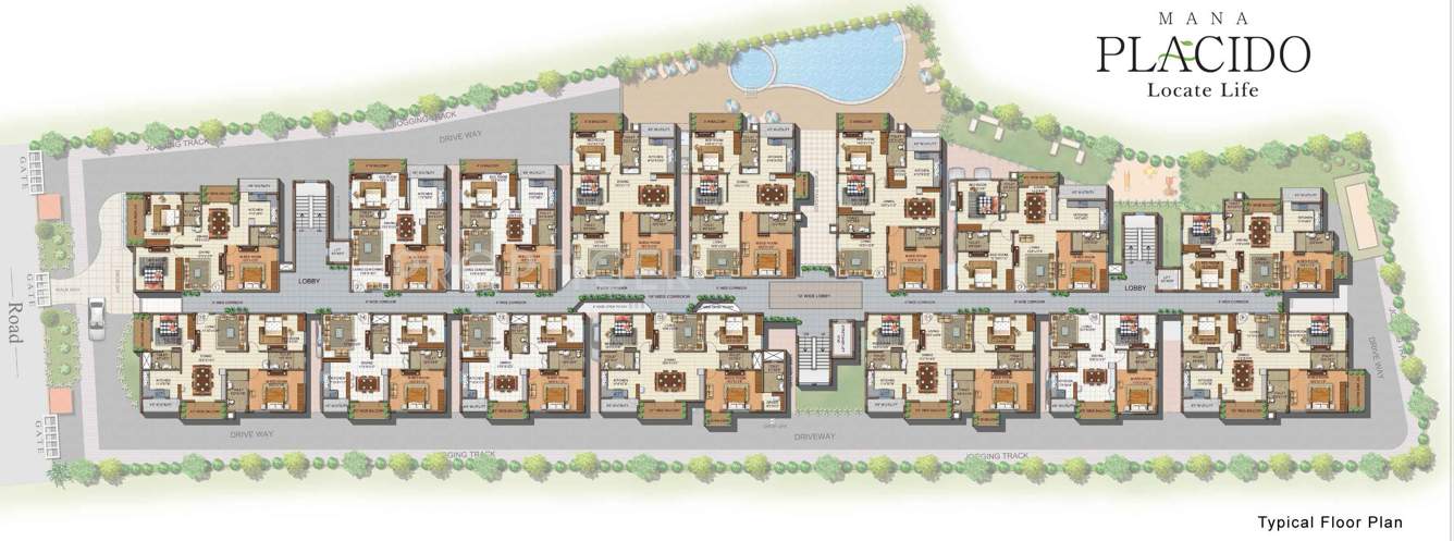 Images for Cluster Plan of Mana Projects Placido