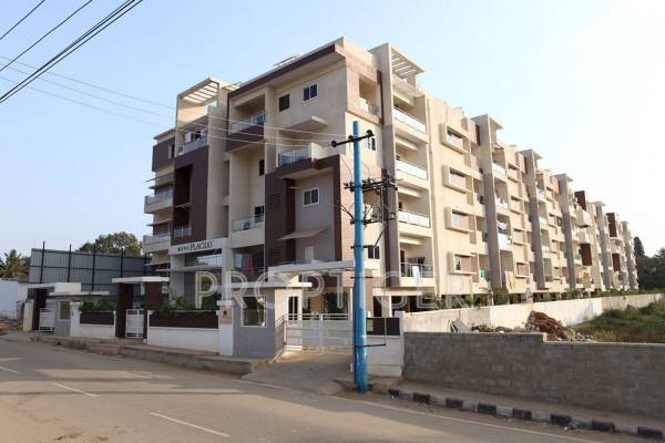 Images for Elevation of Mana Projects Placido